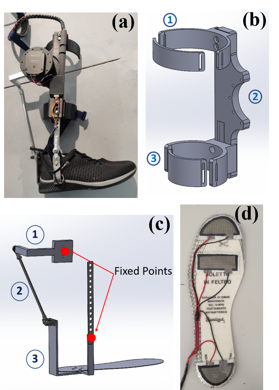 RANK: a robotic ankle