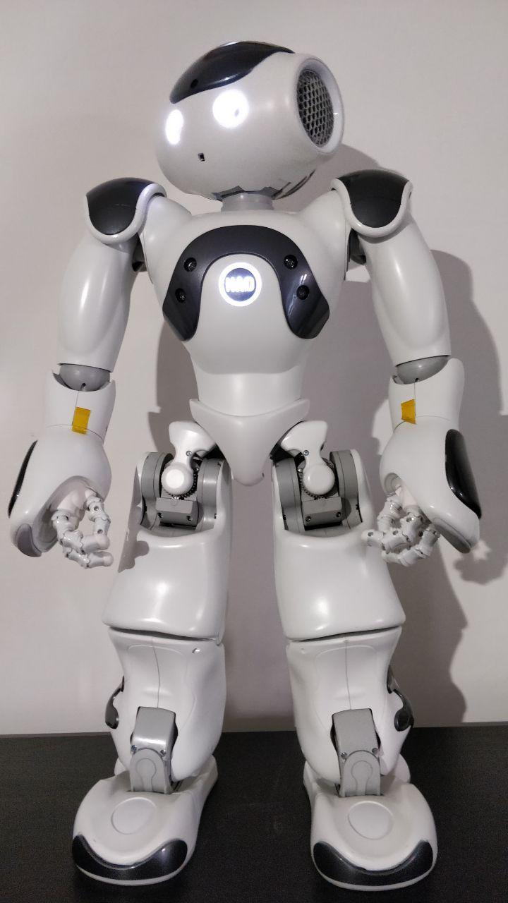 NAOvatar - un robot per la terapia dell'autismo
